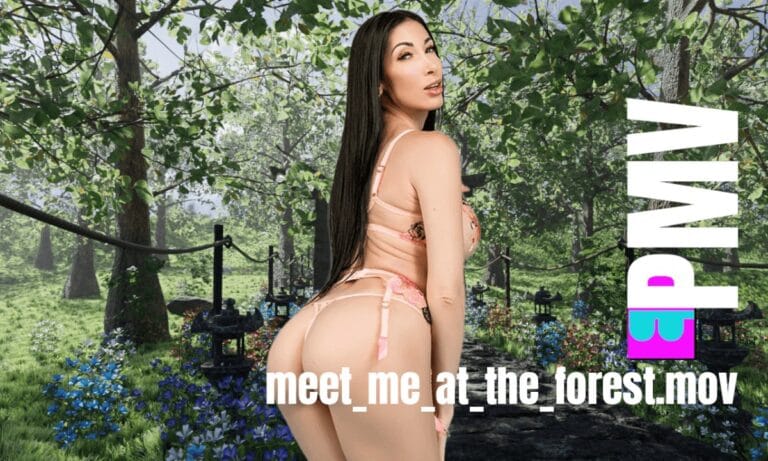 French Affair (CGI) PMV featuring Clea Gaultier - SexLikeReal VR Porn